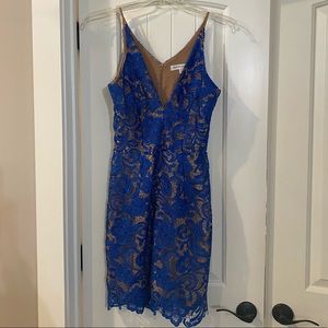 Dress the Population midi dress